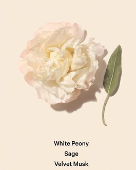 Bombshell Seduction Fine Fragrance Mist